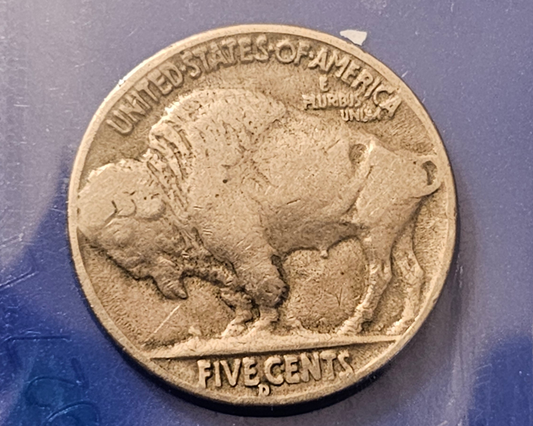 1937 D Buffalo Nickel XF